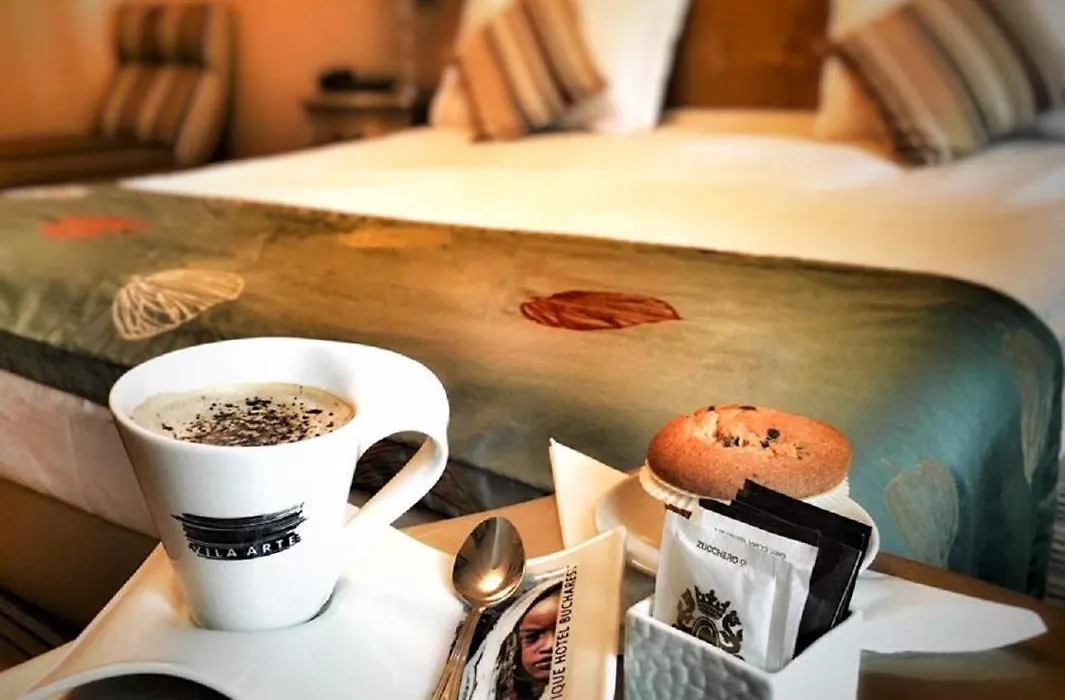 Hotel Boutique Vila Arte-1
